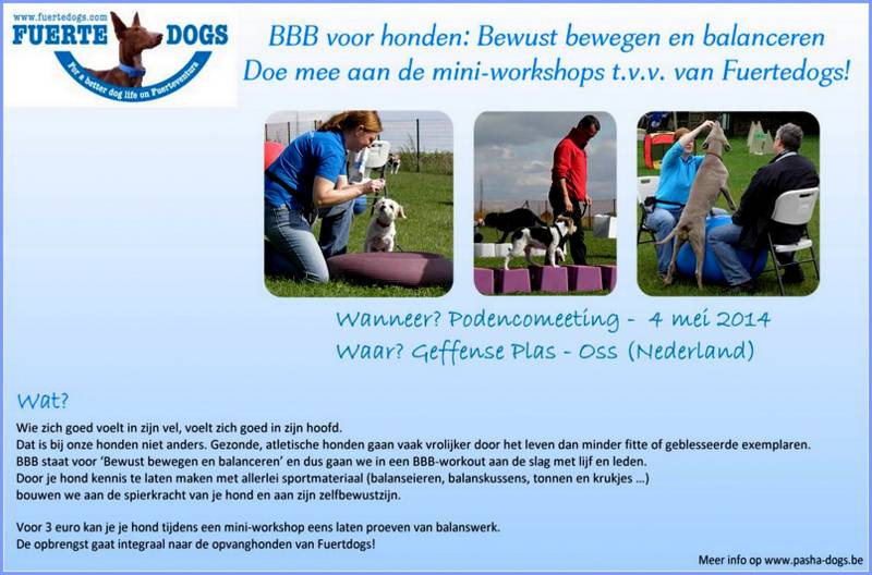 FLYER - FD op PODENCODAG -