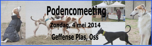 PODENCO-DAG 2014 -