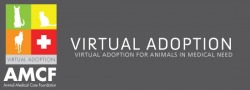 amcf-virtueleadoptie
