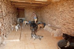 finca-l