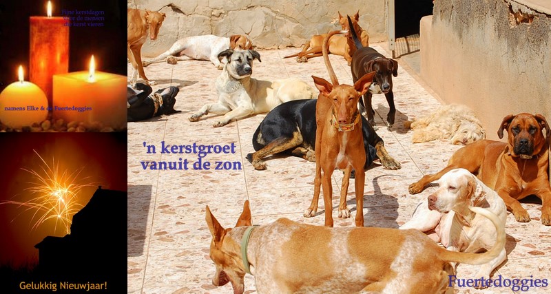 kerstgroet2011