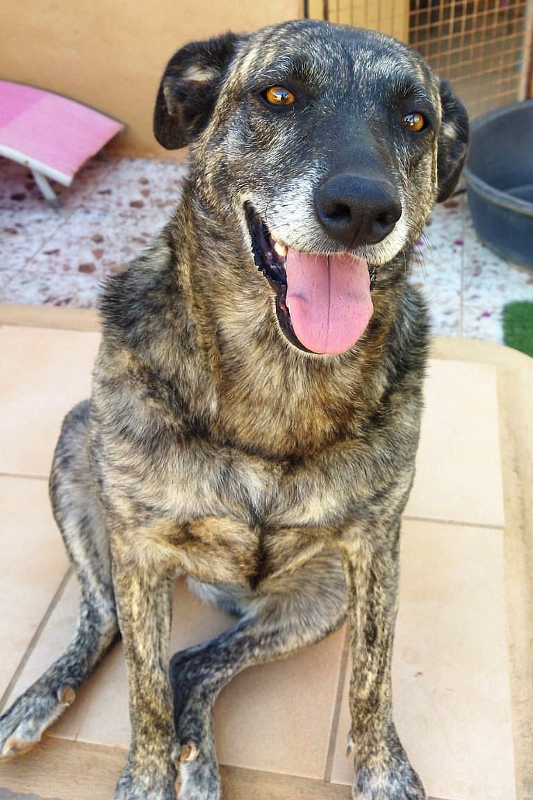 coco