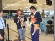 image1519-10-74