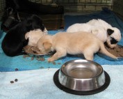 image3119-10-3311