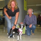 image3131-10-3411