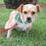 image3210-10-3471