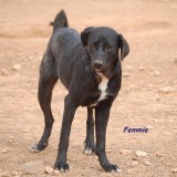 image3253-10-3671